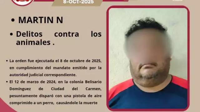 Justicia para 'Tobi': agresor fue detenido tras meses de espera