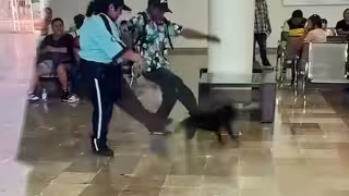 Dos guardias de seguridad fueron captados pateando y expulsando a una perrita que buscaba refugio de la lluvia.
