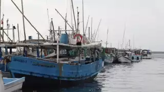  Identifican el cuerpo del pescador hallado sin vida en Yucatán tras el Huracán Milton  