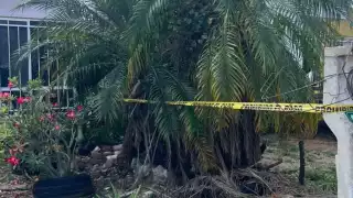 Hombre halla sin vida a su madre dentro de su casa en Ciudad Caucel, en Mérida