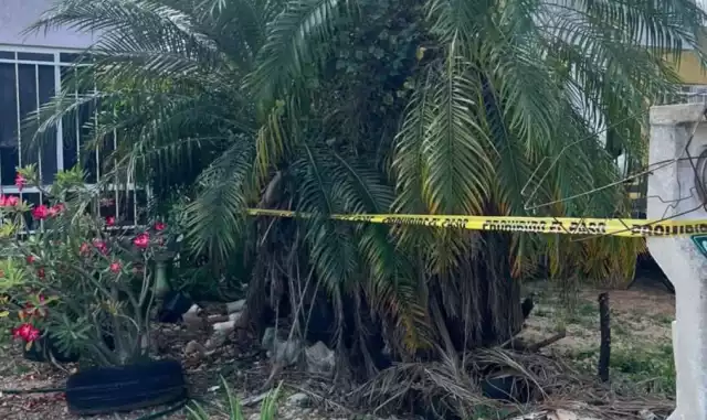 Joven pidió ayuda, pero paramédicos nada pudieron hacer.