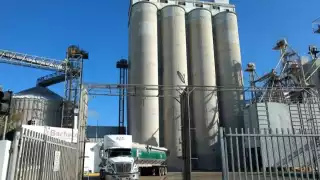 Yucatán se une al Plan México, iniciativa de Claudia Sheinbaum para fortalecer la industria nacional