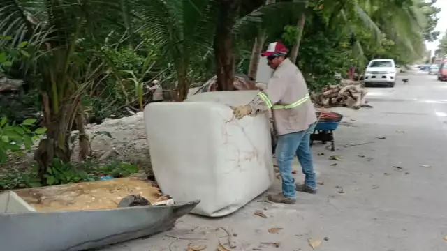Ha resultado insuficiente la labor de vigilancia de las autoridades estatales y federales.