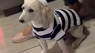 Curly fue despedida por usuarios en redes sociales