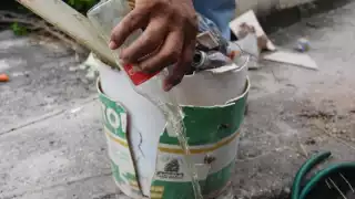   Retirarán potenciales criaderos de moscos en estas comisarías y colonias de Mérida del 24 al 31 de mayo  