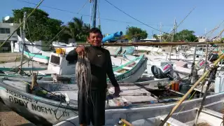 Cierra la temporada de pulpo y comienza la incertidumbre para cientos de familias en Yucatán