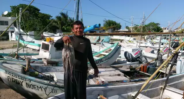 El sector pesquero se prepara para un período complicado con el cierre de la temporada del molusco