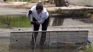 Lluvias históricas afectan a 159 colonias de Mérida; anuncian perforación de pozos y abatización contra el dengue
