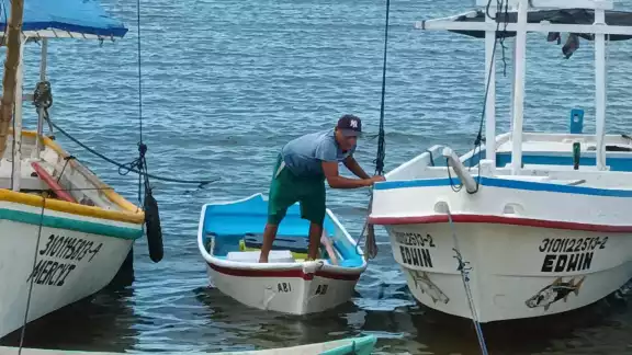 Los lancheros han comenzado a realizar tours para mostrar a visitantes los efectos destructivos de la marea roja Los lancheros han comenzado a realizar tours para mostrar a visitantes los efectos destructivos de la marea roja