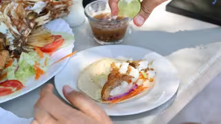 Restauranteros de Carmen temen impacto económico y ambiental