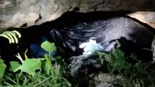 Hallan bolsa con un cadáver de perro dentro en San Antonio Tuk.