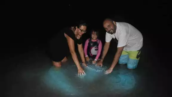 En abril comienza el fenómeno natural conocido bioluminiscencia, el cual genera que el agua destelle En abril comienza el fenómeno natural conocido bioluminiscencia, el cual genera que el agua destelle