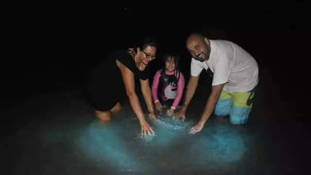 En abril comienza el fenómeno natural conocido bioluminiscencia, el cual genera que el agua destelle