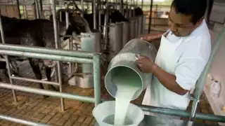 Ganadería, agricultura, pesca y otros insumos con alto valor agregado se desperdician al no transformarse en productos industriales.