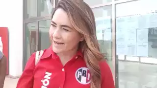 Ariana Rejón Lara, presidenta del PRI en Campeche, afirmó que la detención de Luis Andrés Cantún May por actos vandálicos fue conforme a derecho.