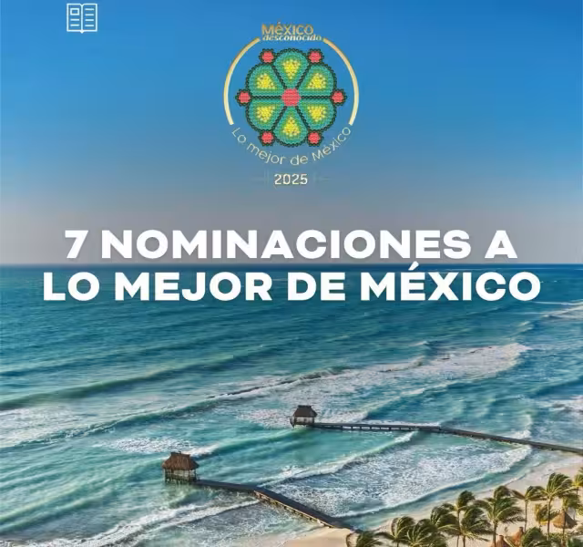 Las votaciones terminarán el 20 de abril del 2025