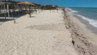 Prestadores de servicios esperan repunte en verano