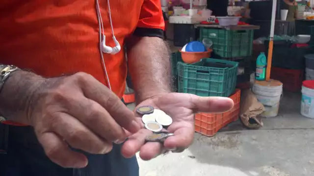 En 2024, los hogares de Campeche registraron un ingreso corriente promedio trimestral de 66 mil 236 pesos, uno de los más bajos del país.