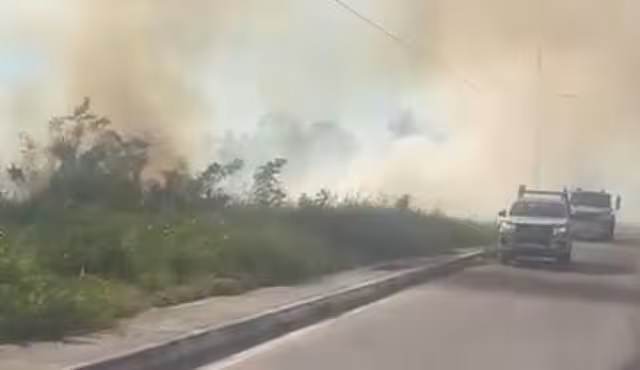 Se registró un incendio en un predio de gran tamaño en la colonia Los Manguitos, en Champotón.