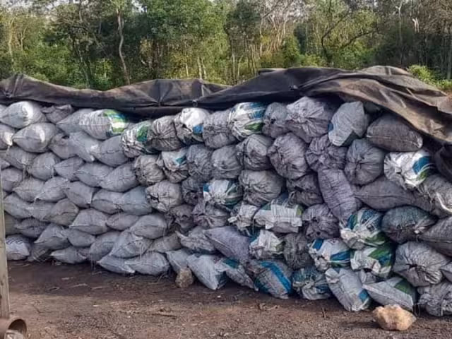 Campesinos señalan la presunta complicidad de la Profepa en la comisión del delito