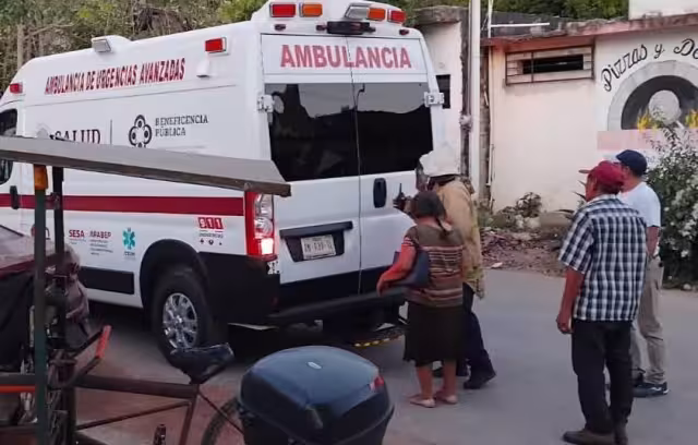 Al menos 11 personas fueron víctimas de las abejas.