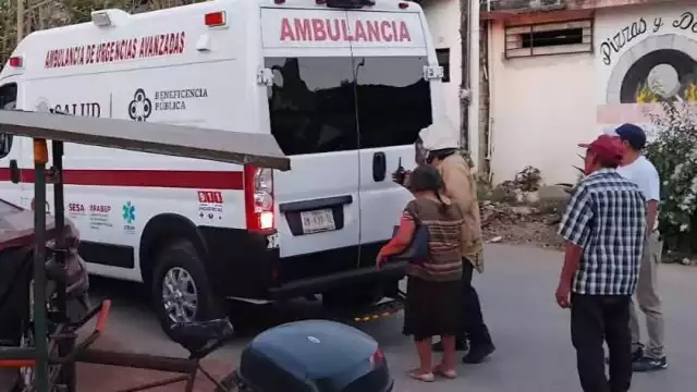 Al menos 11 personas fueron víctimas de las abejas.