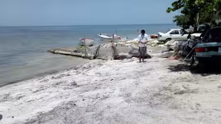Pescadores de Celestún fueron asegurados en un filtro con 300 kg. de pulpo maya, que está en veda
