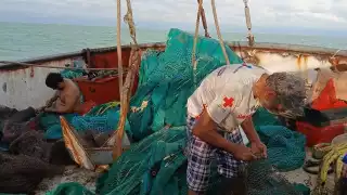 Camaroneros estarán más de 40 días en alta mar