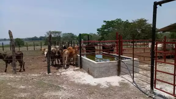 La sequía aumenta y los recursos hídricos disminuyen, externó la Unión Nacional de Trabajadores Agrícolas, que estima más la creación de jagüeyes
