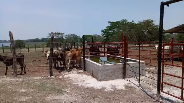 La sequía aumenta y los recursos hídricos disminuyen, externó la Unión Nacional de Trabajadores Agrícolas, que estima más la creación de jagüeyes