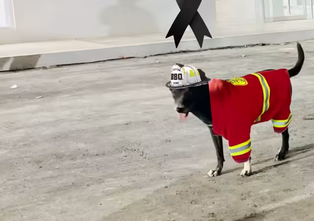 Adiós a “La Negra”, la lomita que cuidó y acompañó a los bomberos campechanos