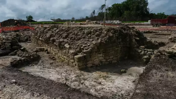 El hallazgo quedará a cargo del programa Promeza El hallazgo quedará a cargo del programa Promeza