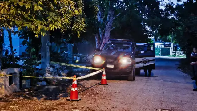 Dueños de un animal lo descubren muerto a las puertas de su vivienda, al parecer, de un disparo