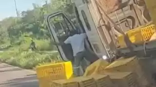 Tráiler que transportaba pollos pierde el control y vuelca en avenida de Felipe Carrillo Puerto