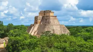 Greenpeace denuncia a Grupo Xcaret por la construcción de nueve hoteles en la selva de Yucatán  