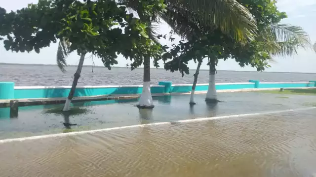 El nivel del agua del Estero de Sabancuy subió debido a la tormenta tropical "Francine" en el Golfo de México.
