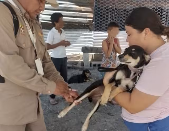 Secretaría de Salud anuncia jornada intensiva de vacunación antirrábica en Campeche