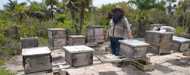 Unos 22 hombres de campo se quejaron que es un problema añejo y en esta ocasión murieron las abejas de 789 colmenas