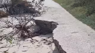 Cambio climático ya impacta a Ciudad del Carmen