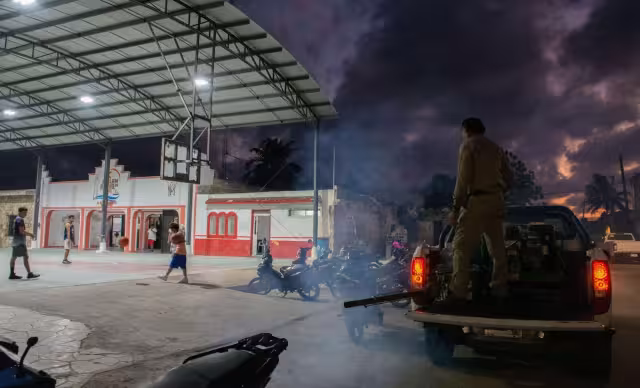 Un caso de dengue activa alerta epidemiológica en Dzilam de Bravo, Yucatán