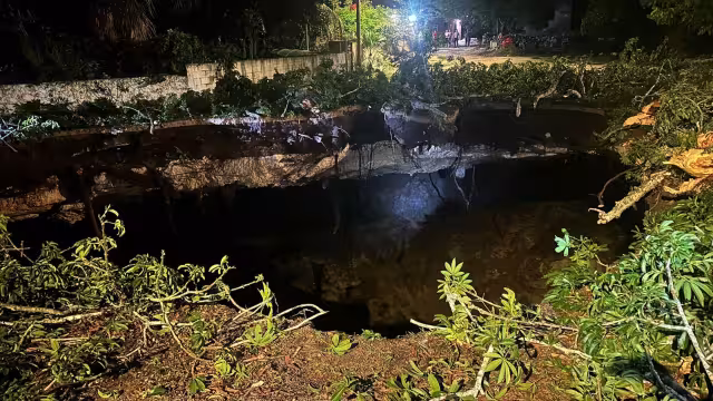 El socavón del cenote se tragó un árbol de ceiba de 15 metros de altura