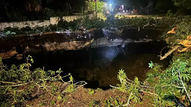 El socavón del cenote se tragó un árbol de ceiba de 15 metros de altura