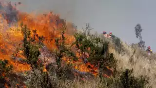 Logran liquidar incendio de Tankuché en Calkiní 