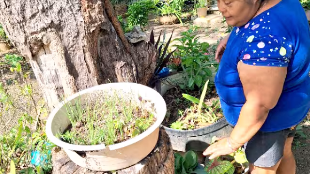 Hasta ahora ha sido la única mujer Comisariada Ejidal en el municipio