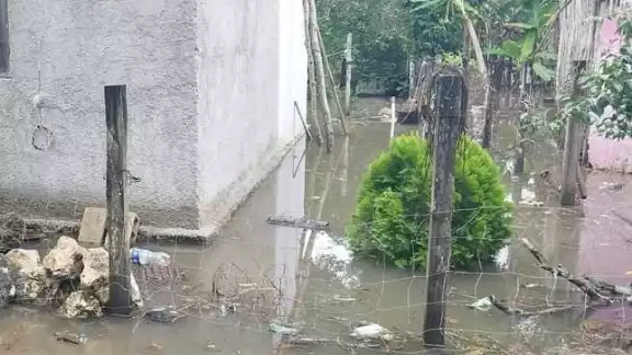 Algunos patios de casas comenzaron a inundarse por las recientes lluvias