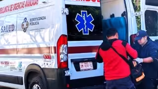 Dos productores fueron hospitalizados en José María Morelos tras sufrir ataques de abejas.