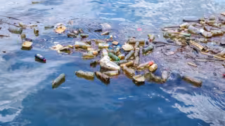 Basura y aceite vuelven a contaminar refugios pesqueros de Progreso