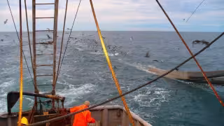 Con 60 barcos detenidos, Campeche impulsa apertura de zonas restringidas en el Golfo de México