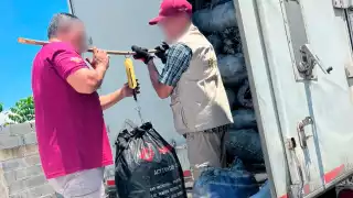 Golpe a la tala ilegal en Campeche: Profepa asegura 23 toneladas de carbón y cedro rojo