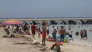 Verano 2024 deja más de 600 mdp de derrama económica al comercio en Progreso